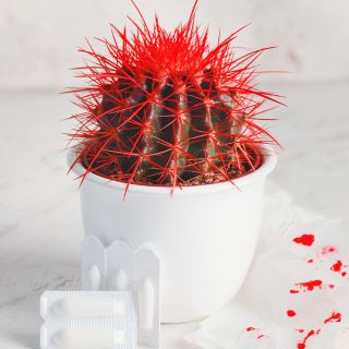 Zatrzymuje krwawienie